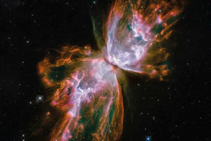 Poster des Schmetterlingsnebels NGC 6302 aufgenommen vom Hubble Teleskop der Raumfahrtagentur NASA